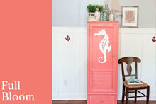 Load image into Gallery viewer, Full Bloom | Clay-Based All-In-One Décor Paint