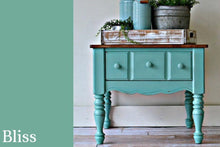 Load image into Gallery viewer, Bliss | Clay-Based All-In-One Décor Paint