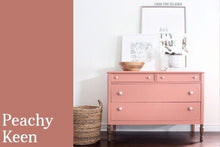 Load image into Gallery viewer, Peachy Keen | Clay-Based All-In-One Décor Paint