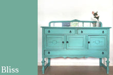 Load image into Gallery viewer, Bliss | Clay-Based All-In-One Décor Paint