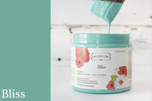 Load image into Gallery viewer, Bliss | Clay-Based All-In-One Décor Paint