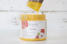 Load image into Gallery viewer, Luminous | Clay-Based All-In-One Décor Paint