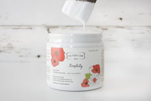 Load image into Gallery viewer, Simplicity | Clay-Based All-in-One Décor Paint