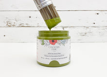 Load image into Gallery viewer, Secret Garden | All-In-One Décor Paint