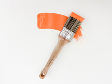 Load image into Gallery viewer, Persimmon | All-In-One Décor Paint