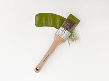 Load image into Gallery viewer, Secret Garden | All-In-One Décor Paint