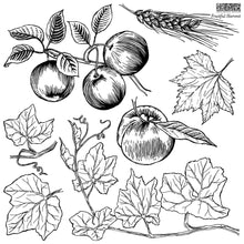 Load image into Gallery viewer, Fruitful Harvest |