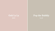 Load image into Gallery viewer, Large Starter Kit - Country Chic Paint