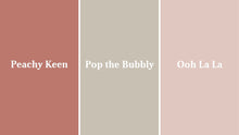 Load image into Gallery viewer, Medium Starter Kit - Country Chic Paint