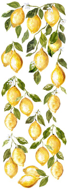 Lemon Drops Décor Transfer