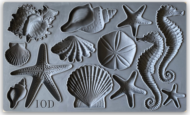 Sea Shells | Décor Mould