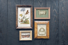 Load image into Gallery viewer, Brocante Décor Transfer