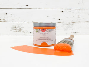 Persimmon | All-In-One Décor Paint