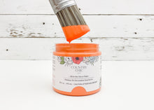 Load image into Gallery viewer, Persimmon | All-In-One Décor Paint