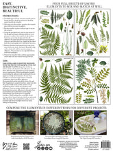 Load image into Gallery viewer, Fronds Botanical Décor Transfer