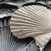 Sea Shells | Décor Mould