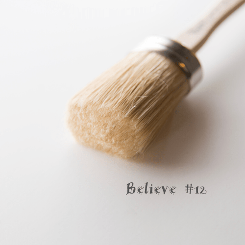 Paint Pixie Brush Believe #12