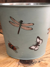 Load image into Gallery viewer, Entomology Bucket
