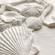 Load image into Gallery viewer, Sea Shells | Décor Mould